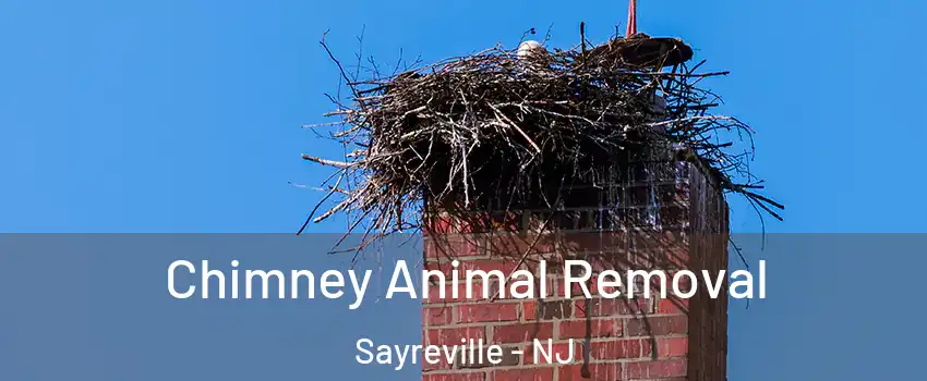 Chimney Animal Removal Sayreville - NJ