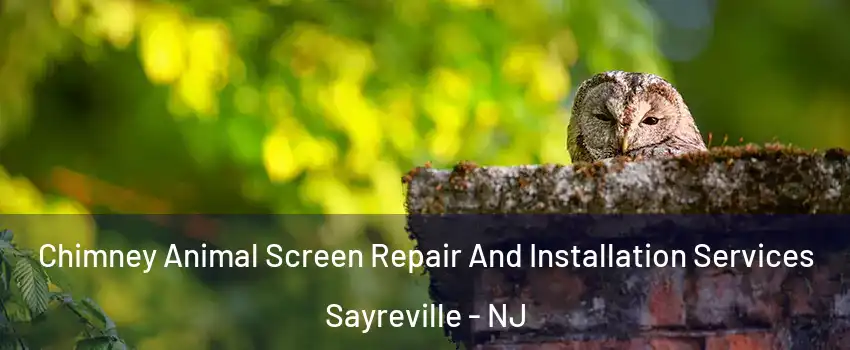  Chimney Animal Screen Repair And Installation Services Sayreville - NJ