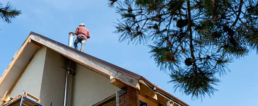 Birds Removal Contractors from Chimney in Sayreville, NJ