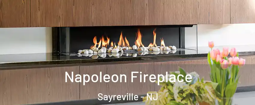  Napoleon Fireplace Sayreville - NJ